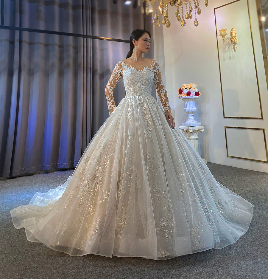 Gowns Long Tail lace Dream Wedding Dress