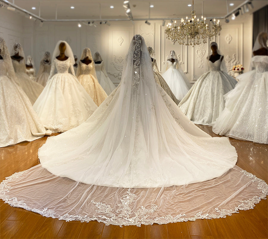 Bridal Luxury Lace beaded Long Sleeve dream Wedding Dress